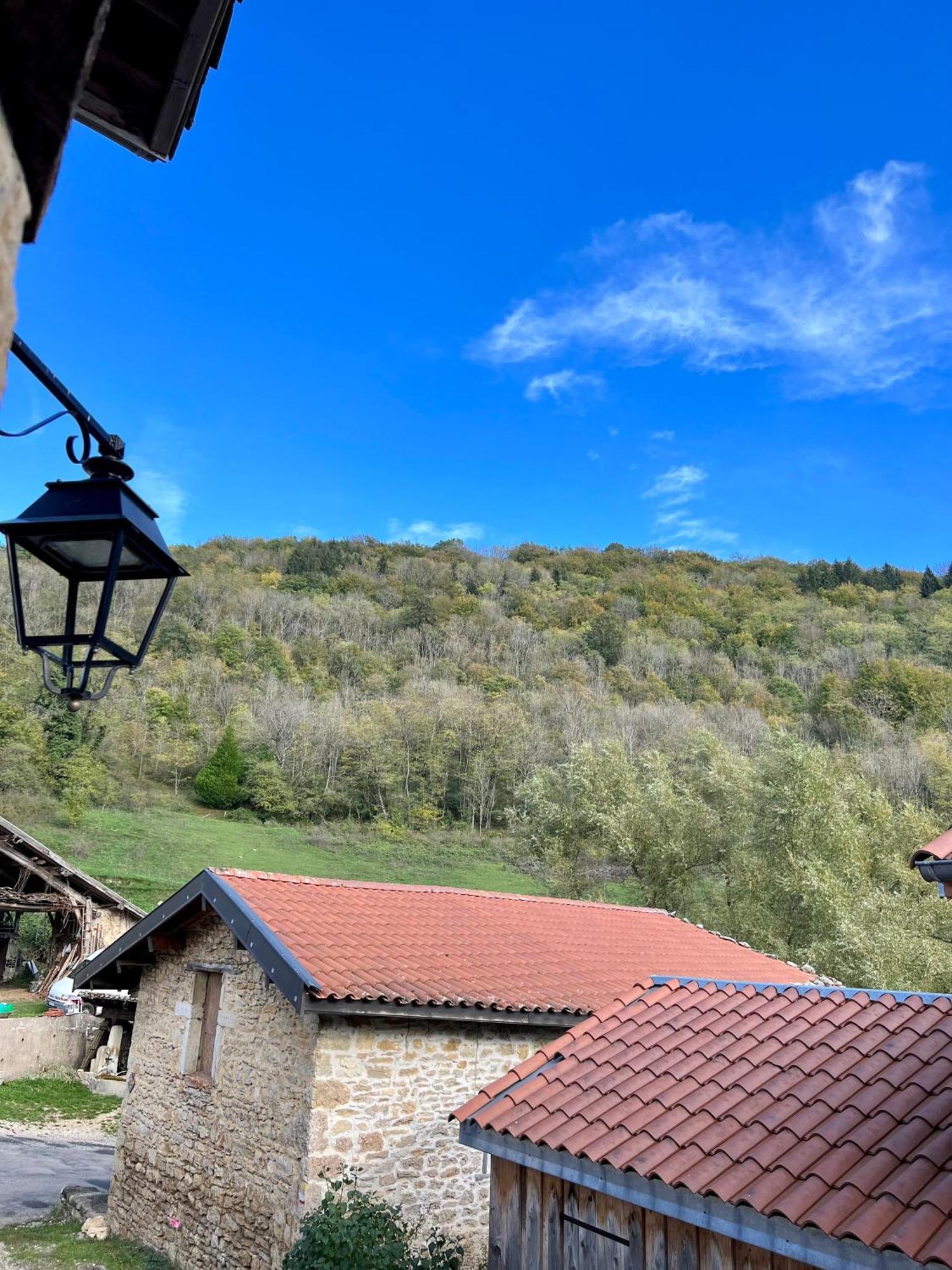 Gite Brin De Nature Au Coeur De La Nature Bugiste Ambérieu-en-Bugey Extérieur photo